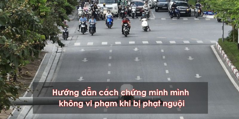 Hướng dẫn khiếu nại khi bị phạt nguội sai